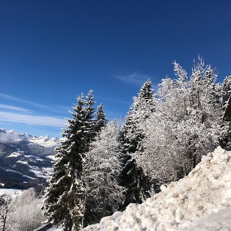Ferienhaus Gerti Werfenweng Exteriér fotografie